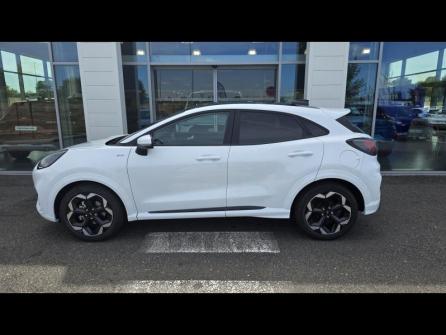 FORD Puma 1.0 EcoBoost Hybrid 125ch ST Line X S&S à vendre à Bourges - Image n°8