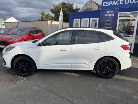 FORD Kuga 2.5 Duratec 225ch PHEV ST-Line X BVA à vendre à Orléans - Image n°8