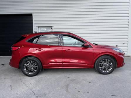 FORD Kuga 2.5 Duratec 190ch FHEV E85 ST-Line X BVA à vendre à Reims - Image n°4